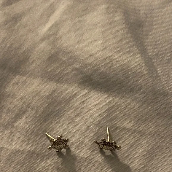 Silver Turtle Stud Earrings - Picture 2 of 2
